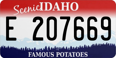 ID license plate E207669