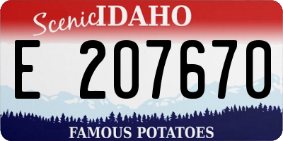 ID license plate E207670