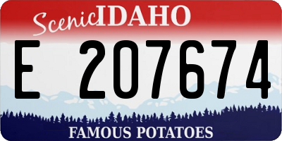 ID license plate E207674