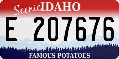 ID license plate E207676