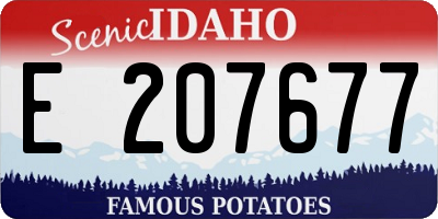 ID license plate E207677
