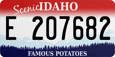 ID license plate E207682