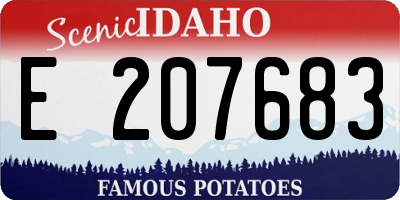 ID license plate E207683