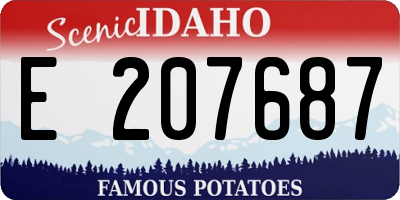ID license plate E207687