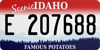 ID license plate E207688