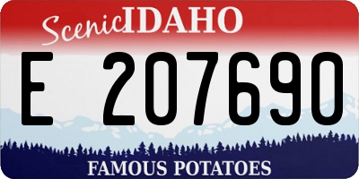 ID license plate E207690