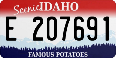 ID license plate E207691