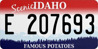 ID license plate E207693