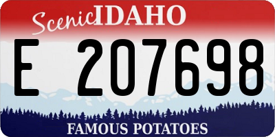 ID license plate E207698
