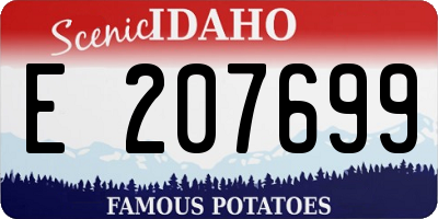 ID license plate E207699