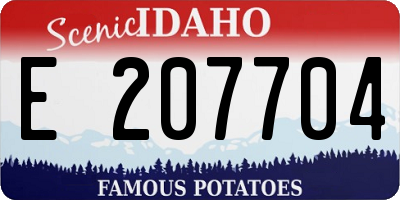 ID license plate E207704