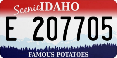 ID license plate E207705