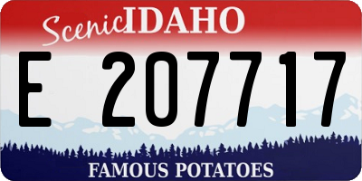 ID license plate E207717