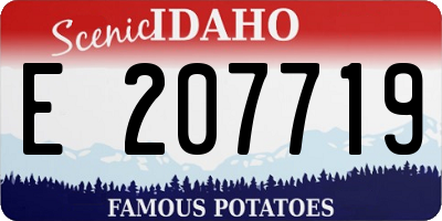 ID license plate E207719