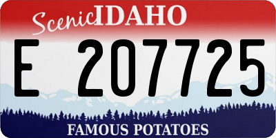 ID license plate E207725