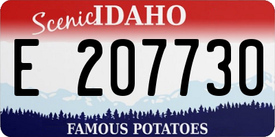 ID license plate E207730