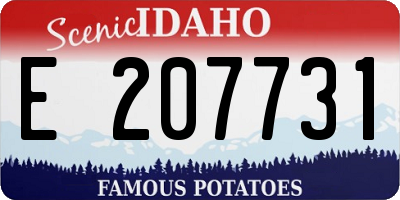 ID license plate E207731