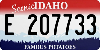 ID license plate E207733