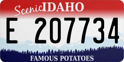 ID license plate E207734