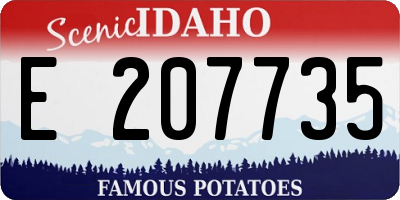 ID license plate E207735