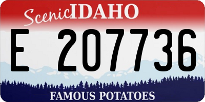 ID license plate E207736
