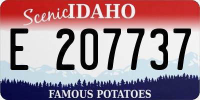 ID license plate E207737