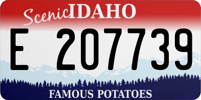 ID license plate E207739