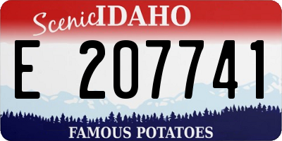 ID license plate E207741