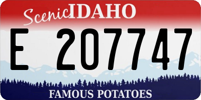 ID license plate E207747