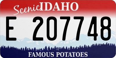 ID license plate E207748