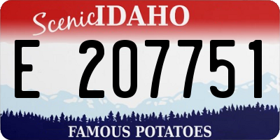 ID license plate E207751
