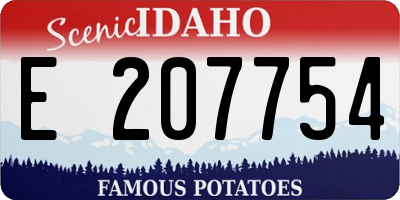 ID license plate E207754