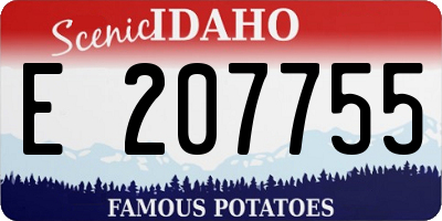 ID license plate E207755