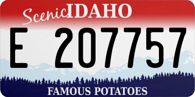 ID license plate E207757