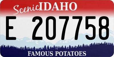 ID license plate E207758