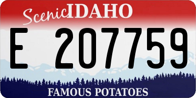 ID license plate E207759