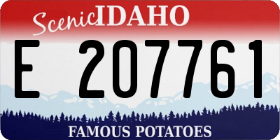 ID license plate E207761