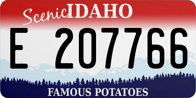 ID license plate E207766
