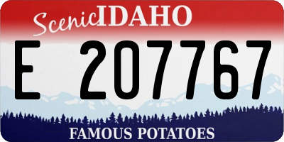 ID license plate E207767