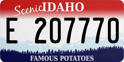 ID license plate E207770