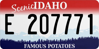 ID license plate E207771