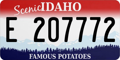 ID license plate E207772