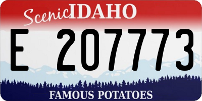 ID license plate E207773