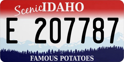 ID license plate E207787