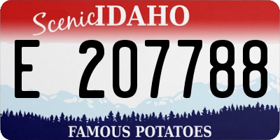 ID license plate E207788