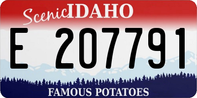 ID license plate E207791