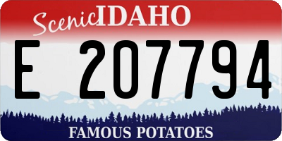 ID license plate E207794