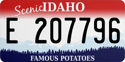 ID license plate E207796