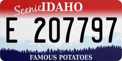 ID license plate E207797