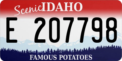 ID license plate E207798